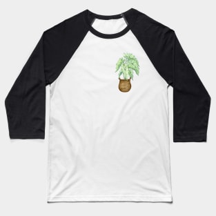 White Caladium Plant Baseball T-Shirt